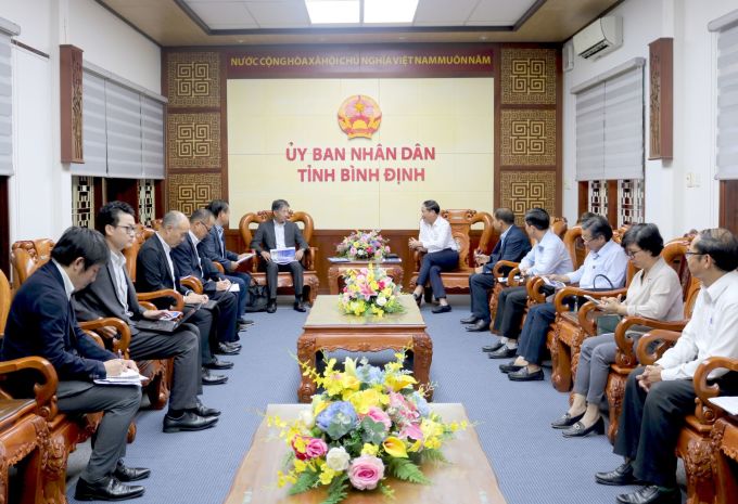 Doanh nghiệp Nhật muốn thuê 15.000 ha rừng nguyên liệu Bình Định