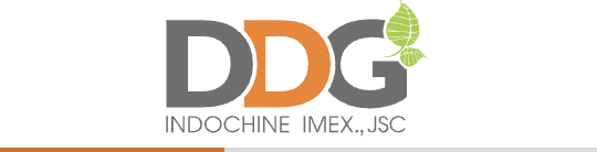 Cựu Ngoại trưởng Mỹ John Kerry: Ngành năng lượng Việt Nam đang có cơ hội từ bỏ than đá