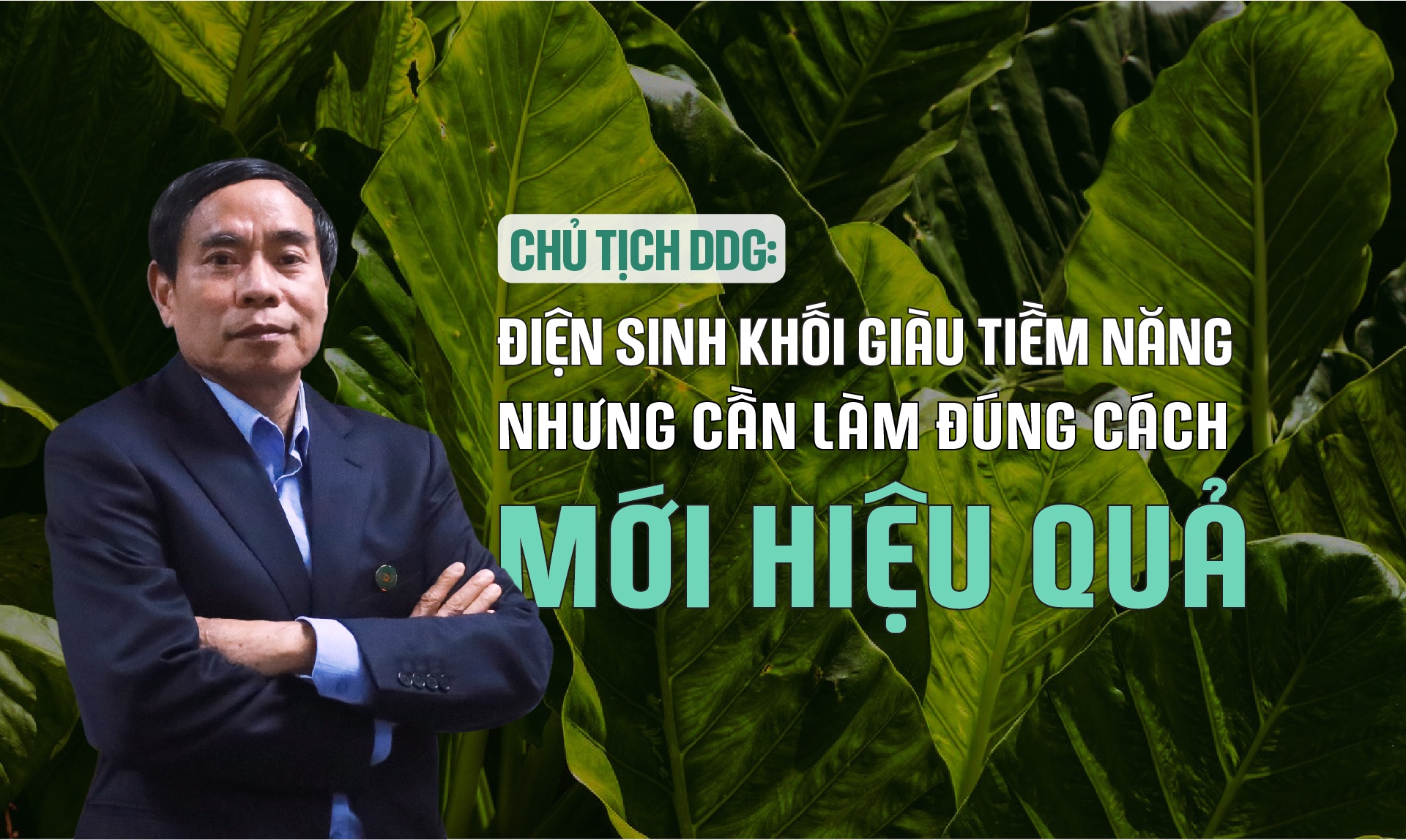 Chủ tịch HĐQT CTCP Đầu tư Công nghiệp Xuất nhập khẩu Đông Dương (HNX: DDG) - ông Nguyễn Thanh Quang chia sẽ : Điện sinh khối giàu tiềm nhưng phải dùng đúng cách mới hiệu quả.